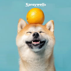 Pet Spray - Wild Orange - 100mL/50mL