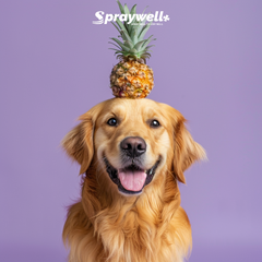 Pet Spray - Pineapple - 100mL/50mL