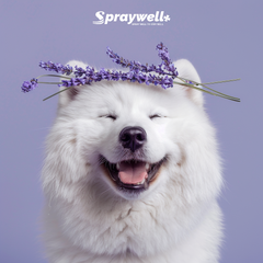 Pet Spray - Lavender - 100mL/50mL